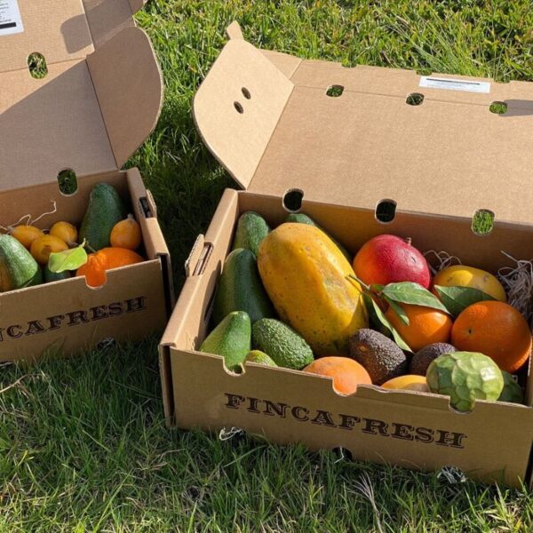 Fincafresh ávaxtakassi 1x1 (800 x 800 px)