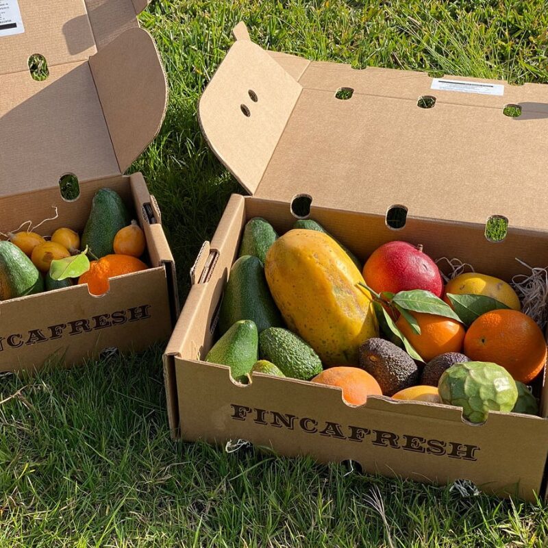 Fincafresh ávaxtakassi 1x1 (800 x 800 px)
